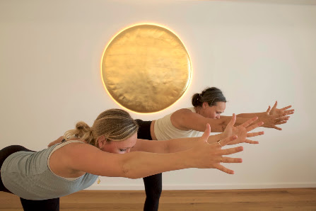 Yoga-Ziegler