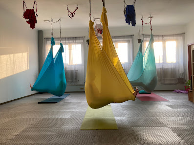 Aerial Moves