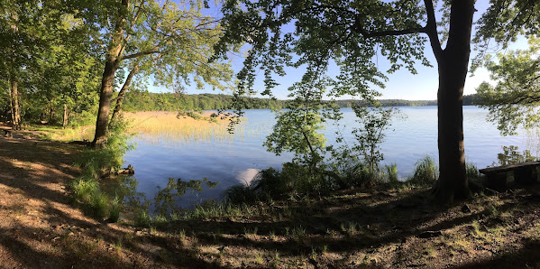 Yogahaus am Stechlinsee