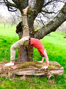 Yoga Michael Stöckel