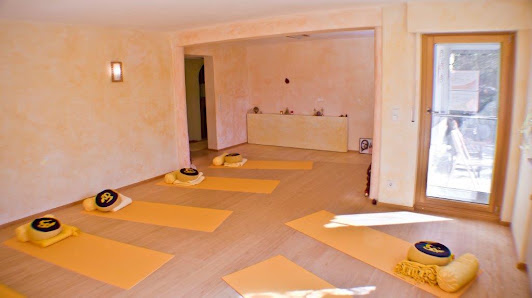 Yoga Vidya Tübingen