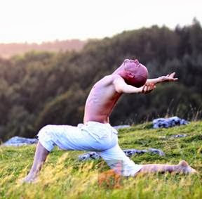 OM Wild & Fresh