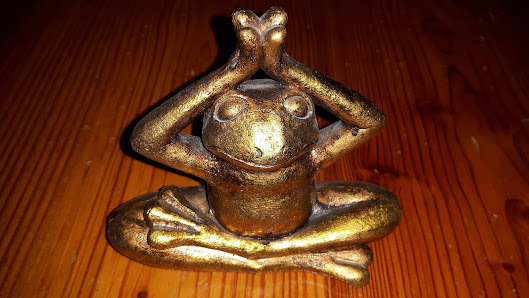 YOGAleben Dagmar Rosenbaum