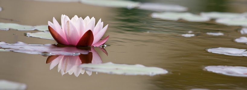 Yogaschule Ute Werner