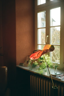 Yoga Studio Ost I (Yogaschule Neckarbischofsheim)