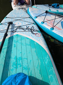 SUP Yoga Würzburg