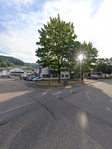 Lebens-Raum