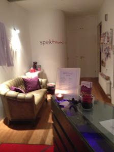 Spektrum on the GO