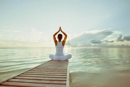 Yogaschule und Cantienica Studio Hamburg