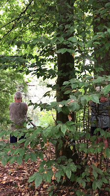 Waldyoga Kehl Outdoor Studio