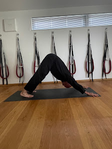 Satyoga Praxis