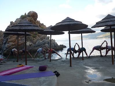 Yoga mit Barbara Bergauer