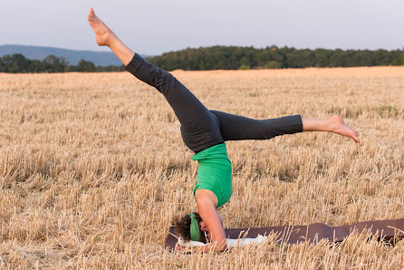 Sonja Fürst - Raum für Yoga & Biosynthese
