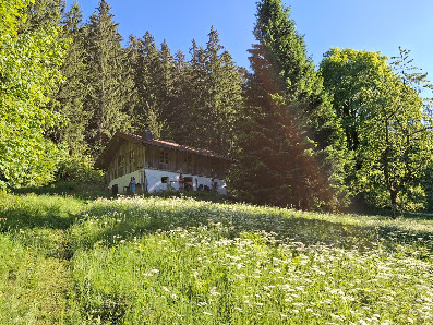 Servus Yoga - Beate Wasem