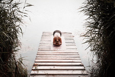 Stefanie Mehmke - Yoga