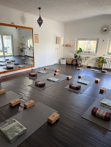 Bird of Paradise Bamberg - Yoga, Pilates & mehr
