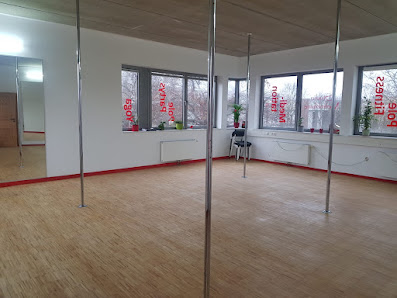 Studio Mohnblume - Yoga, Pole Dance, Meditation, Luftakrobatik