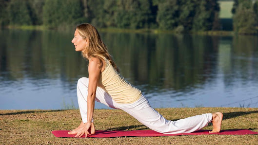 Yoga Vidya Hof