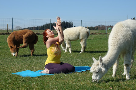 Namaste Yogashala Memmingen