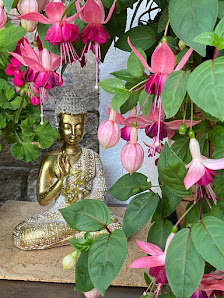 Lu Jong Yoga Studio Ingrid Antoch