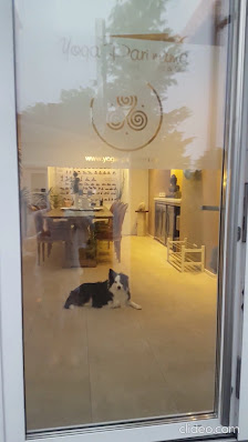 Yoga für Jung - 65+ • Präventionskurse • Personalcoaching • Wellness Neuburg • Hot-Stone, Aroma-Touch