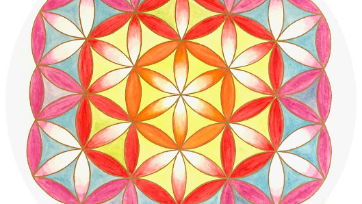 shakti yoga shala Franken - Studio für holistische Transformation, YOGA und Meditation