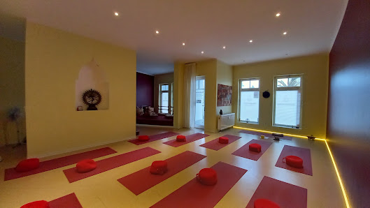 Meine Yoga Kurse