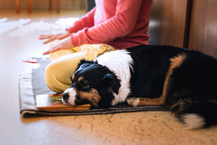 Yoga Reitwein
