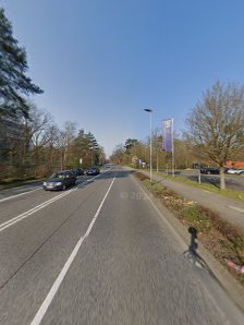 ASANABIRD Yoga Neu-Isenburg