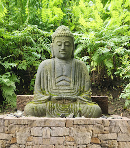 Yogatini