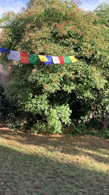 Mach Yoga