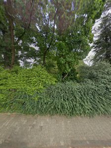YOGA VILLA im Park Gensingen & CANTIENICA -Studio Rhein-Main Nahe