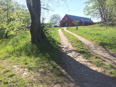 Fasten Yoga Ostsee Insel Usedom Ferien Wandern Faßsauna - pergo
