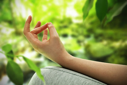 Praxis für Ayurvedamedizin & Naturheilkunde und Shanti-Yogaschule