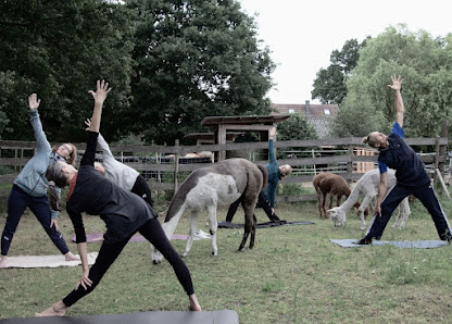 Yoga und neue Pfade