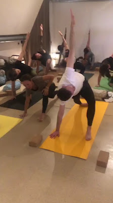 YOGA JUNGLE