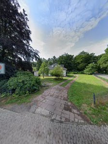 Yoga am Walde