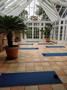 Yoga Waldfrieden