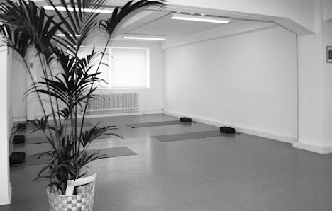 dvipada Yoga Studio, Ashtanga Yoga & Thai Massage