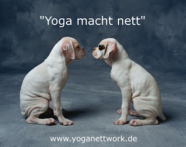 Yoga NettWork Viersen