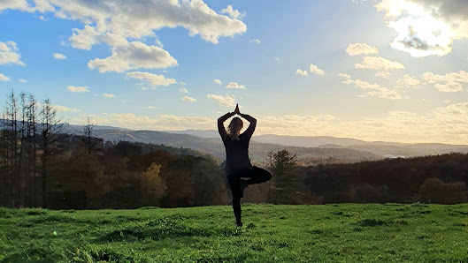 physioyogi