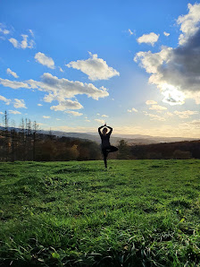 physioyogi